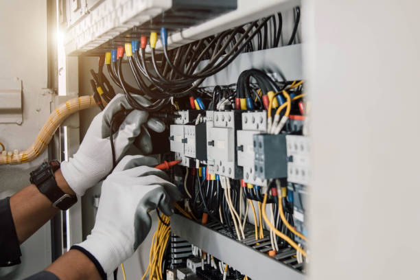 Best Affordable Electrician  in Rockford, MI